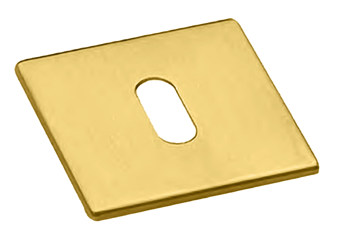 Накладка на ключевой цилиндр LUX-FK-S5 OTL на квадратной розетке под ключ буратино, цвет - золото фото 1 Накладка на ключевой цилиндр LUX-FK-S5 OTL на квадратной розетке под ключ буратино, цвет - золото фото купить Чебоксары